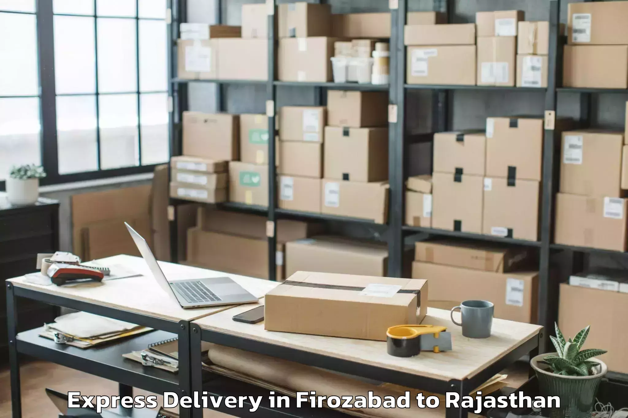 Top Firozabad to Niit University Neemrana Express Delivery Available